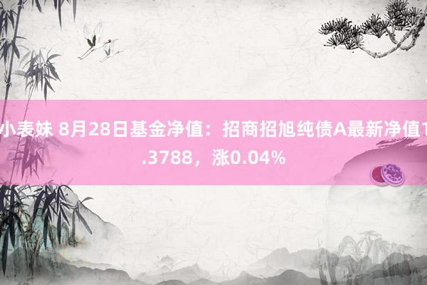 小表妹 8月28日基金净值：招商招旭纯债A最新净值1.3788，涨0.04%
