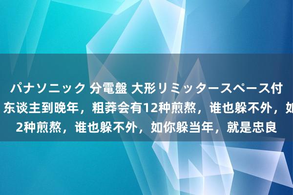 パナソニック 分電盤 大形リミッタースペース付 露出・半埋込両用形 东谈主到晚年，粗莽会有12种煎熬，谁也躲不外，如你躲当年，就是忠良