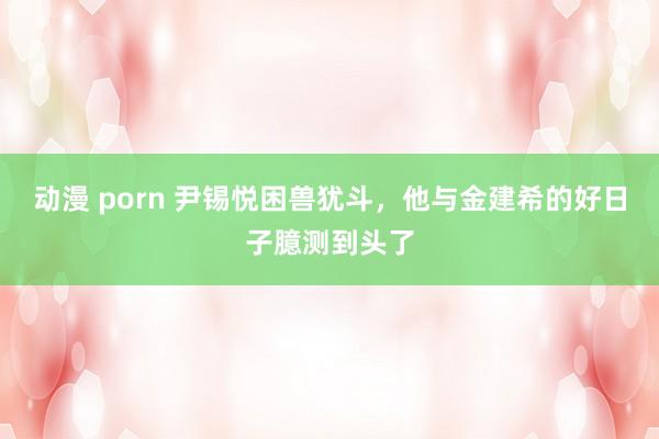 动漫 porn 尹锡悦困兽犹斗，他与金建希的好日子臆测到头了