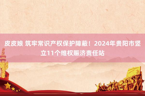 皮皮娘 筑牢常识产权保护障蔽！2024年贵阳市竖立11个维权赈济责任站
