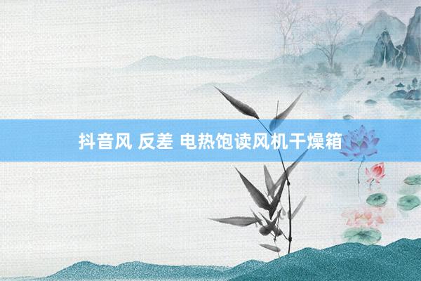 抖音风 反差 电热饱读风机干燥箱
