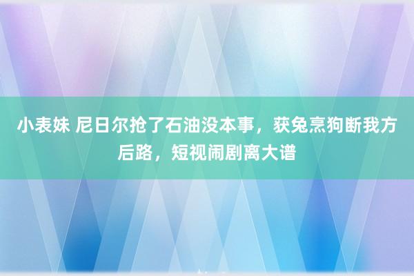 小表妹 尼日尔抢了石油没本事，获兔烹狗断我方后路，短视闹剧离大谱