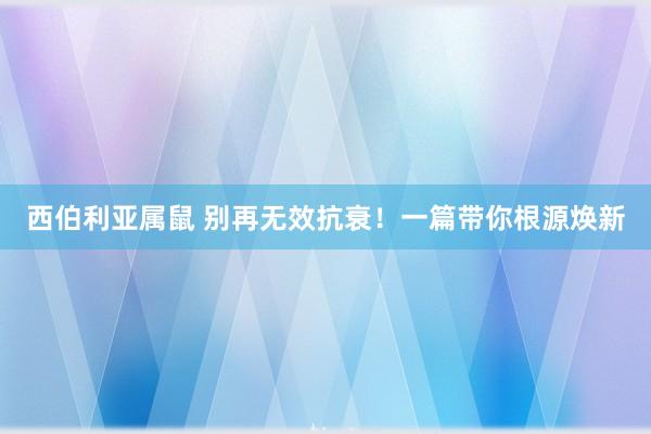 西伯利亚属鼠 别再无效抗衰！一篇带你根源焕新