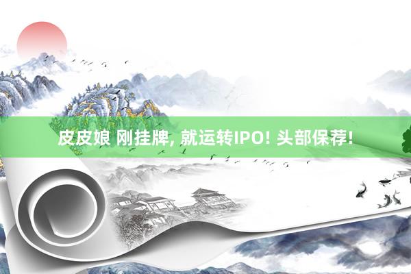 皮皮娘 刚挂牌， 就运转IPO! 头部保荐!