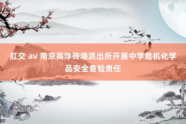 肛交 av 南京高淳砖墙派出所开展中学危机化学品安全查验责任