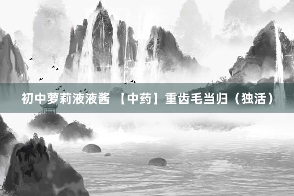 初中萝莉液液酱 【中药】重齿毛当归（独活）